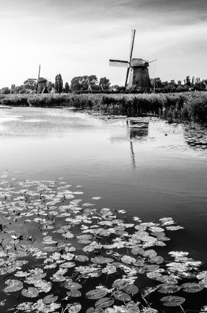 Black and white Dutch landscapeの写真素材