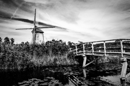 Black and white Dutch landscapeの写真素材