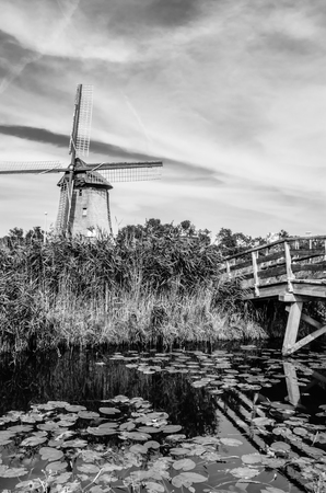 Black and white Dutch landscapeの写真素材