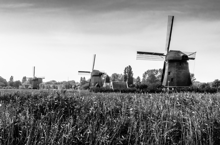 Black and white Dutch landscapeの写真素材