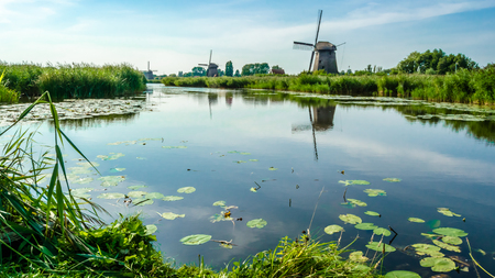 Typical Dutch landscapeの写真素材