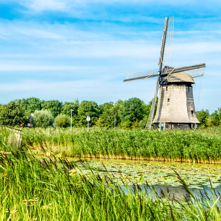 Typical Dutch landscapeの写真素材