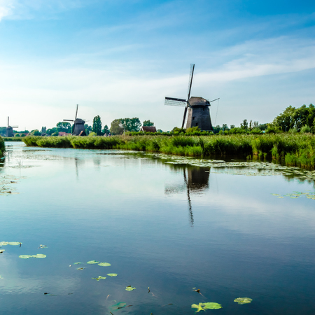 Typical Dutch landscapeの写真素材