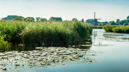 Typical Dutch landscapeの写真素材