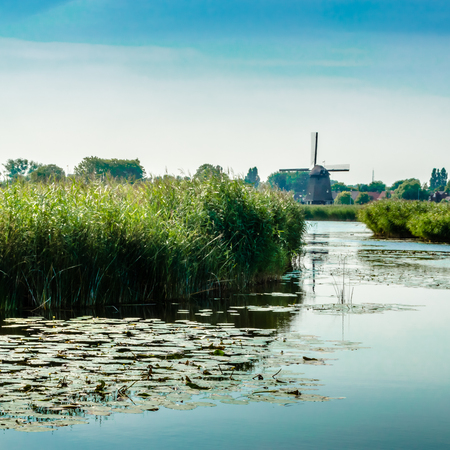 Typical Dutch landscapeの写真素材