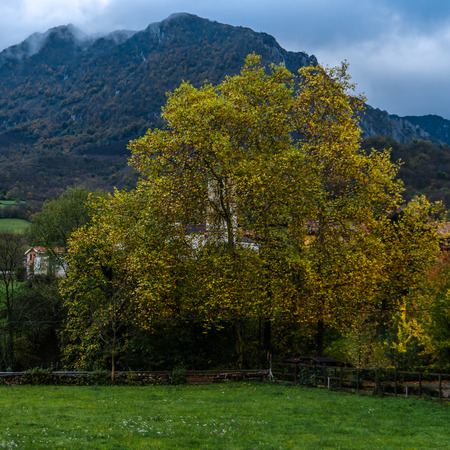View of Soto de Agues village in Asturias, northern Spain, in autumnの写真素材