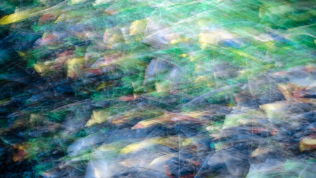 Colorful abstract movement pattern, vibrant textured backgroundの写真素材