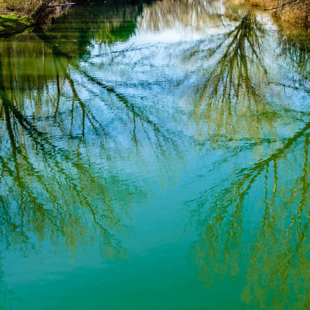 Natural background of tree branches reflexion in waterの写真素材