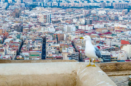 ALICANTE, SPAIN - DECEMBER 27, 2018: View of Santa Barbara castle and the Mediterranean city of Alicante, Spainのeditorial素材