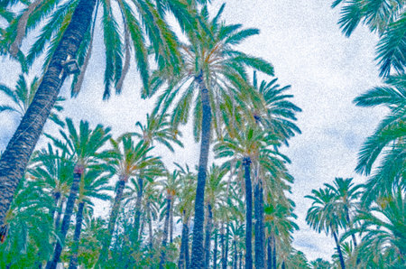 Colorful illustration of palm tree pattern, natural backgroundの写真素材