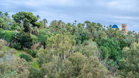 View of the city of Elche, Alicante province, Spain, showing the palm grove and the basilica