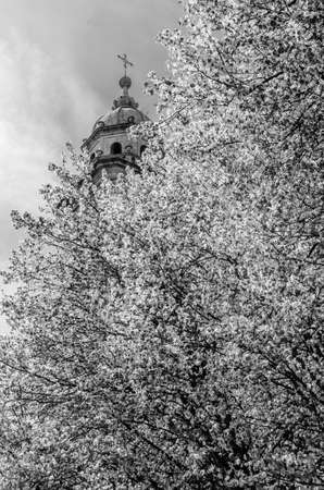 Church in Santiago de Compostela, Galicia, northern Spain, black and white imageの写真素材
