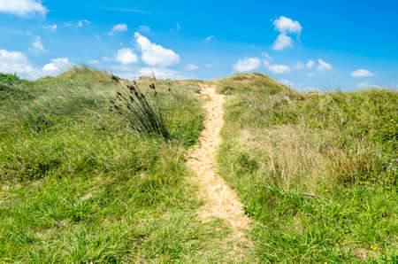 Typical dune vegetation in the Liencres Dunes Natural Park, Cantabria, northern Spainの写真素材