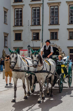 VIENNA, AUSTRIA - SEPTEMBER 1, 2013: Famous Lipizzaner horses and carriage on the street in Vienna,...
