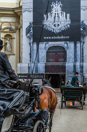 VIENNA, AUSTRIA - SEPTEMBER 1, 2013: Famous Lipizzaner horses and carriage on the street in Vienna, Austriaのeditorial素材