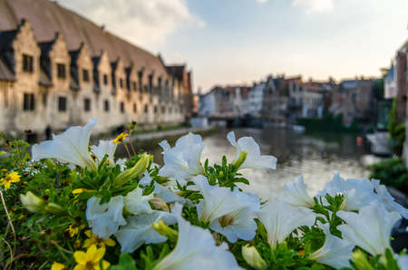 Urban scene, colorful flowers on the bridge in Ghent, Belgiumの写真素材
