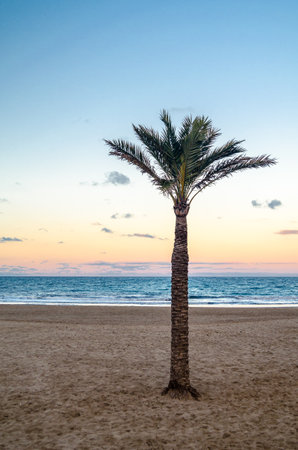 View of the Arenal Beach in Javea (Xabia), Alicante province, Valencian Community, Spainの写真素材