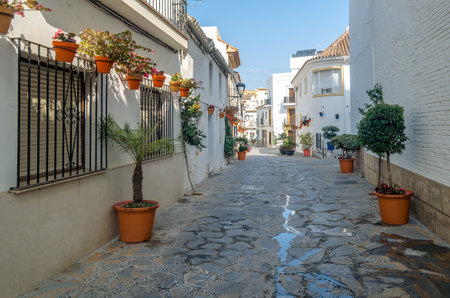 Narrow streets in the center of Estepona, typical Andalusian town, with white houses adorned with colorful flower pots located on the Costa del Sol, Malaga province, southern Spainの写真素材