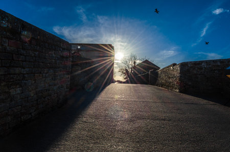 View of a street with the sun in front