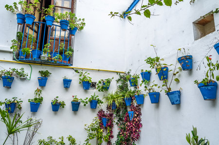 Decorative flower pots on the walls in the streets of Cordoba, Andalusia, southern Spainの写真素材