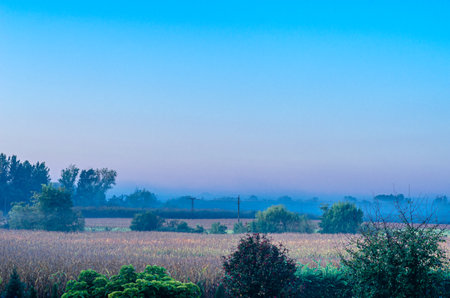 Autumn landscape, field with fog in the morningの写真素材