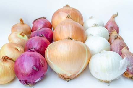 Assortment of various types of onion on white backgroundの写真素材