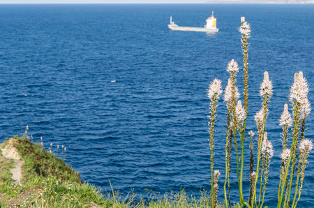 Green, rocky coast of Santander, Cantabria, northern Spain, with boats in the background