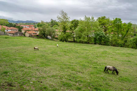 View of the medieval town of Santillana del Mar, Cantabria, northern Spainの写真素材