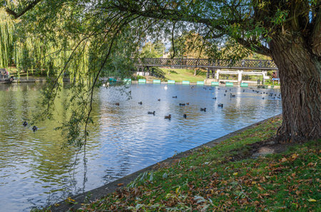 Cityscape on the banks of the River Cam in Cambridge, United Kingdom