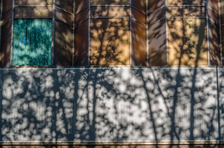 Background of branches shadow on a building facadeの写真素材