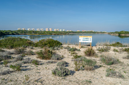 VALENCIA, SPAIN - DECEMBER 29, 2019: View of the Pujol Pond (Estany del Pujol), an artificial pond in the Albufera Natural Park, Valencia, Spainのeditorial素材
