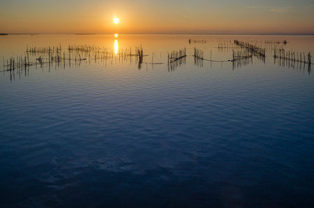 Beautiful sunset in the Albufera Natural Park, Valencia, Spainの写真素材