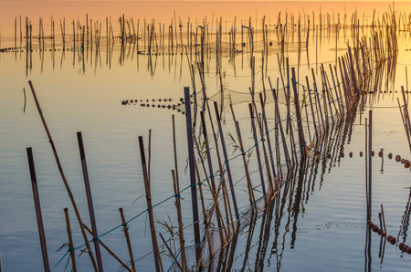 Detail of nets and traditional fishing equipment used in the Albufera Natural Park, Valencia, Spainの写真素材