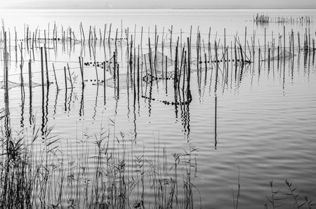 Detail of nets and traditional fishing equipment used in the Albufera Natural Park, Valencia, Spain....