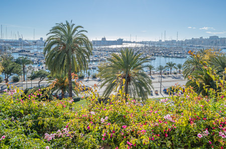 PALMA, SPAIN - JANUARY 11, 2015: Aerial view of the port of Palma, Mallorca, Balearic Islands, Spainのeditorial素材