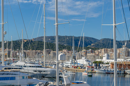 PALMA, SPAIN - JANUARY 11, 2015: View of the marina of Palma, Mallorca, Balearic Islands, Spainのeditorial素材