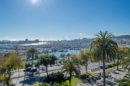 PALMA, SPAIN - JANUARY 11, 2015: Aerial view of the port of Palma, Mallorca, Balearic Islands, Spainのeditorial素材