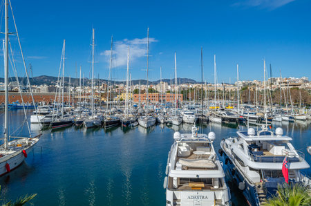 PALMA, SPAIN - JANUARY 11, 2015: View of the marina of Palma, Mallorca, Balearic Islands, Spainのeditorial素材