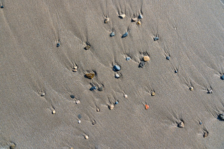 Small stones washed up on the sand of a beachの写真素材