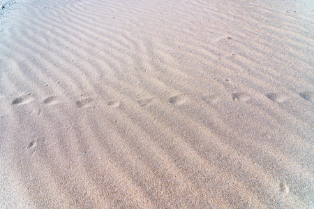 Detail of the pattern in the sand of a beachの写真素材