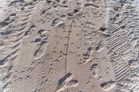 Detail of the pattern in the sand of a beachの写真素材