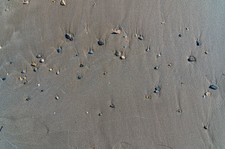 Small stones washed up on the sand of a beach