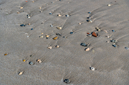 Small stones washed up on the sand of a beachの写真素材