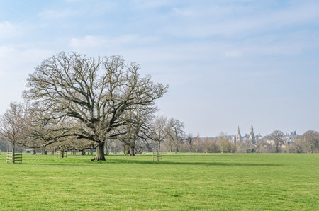 View from a park of Stamford, a market town in Lincolnshire, England, UK
