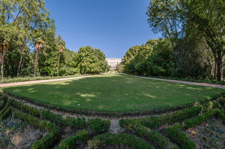 MADRID, SPAIN - AUGUST 23, 2015: View of the Campo del Moro Gardens, with the Royal Palace in the background, in Madrid, Spain; fisheye perspectiveのeditorial素材