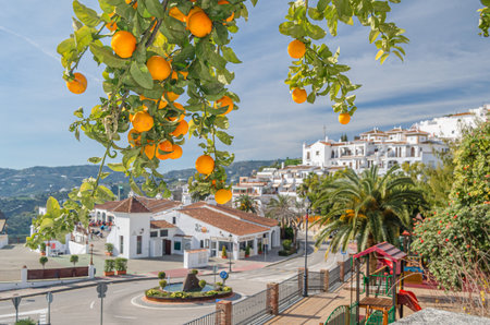 FRIGILIANA, SPAIN - JANUARY 28, 2020: View of the village of Frigiliana, with an orange tree in the foreground, province of Malaga, Andalusia, southern Spainのeditorial素材
