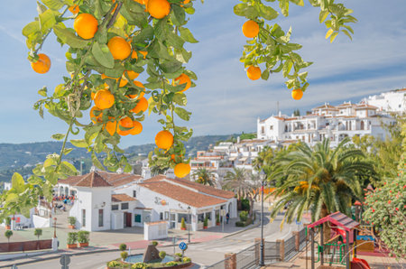FRIGILIANA, SPAIN - JANUARY 28, 2020: View of the village of Frigiliana, with an orange tree in the foreground, province of Malaga, Andalusia, southern Spainのeditorial素材