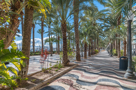 View of the Paseo de la Explanada, a promenade in the Spanish city of Alicante, one of the most popular pedestrian routes in the cityの写真素材