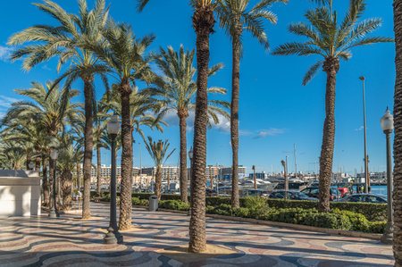 ALICANTE, SPAIN - JANUARY 18, 2023: People walking on the Paseo de la Explanada, a promenade in the Spanish city of Alicante, one of the most popular pedestrian routes in the cityのeditorial素材