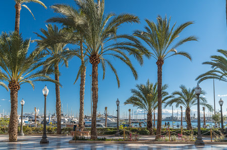 ALICANTE, SPAIN - JANUARY 18, 2023: People walking on the Paseo de la Explanada, a promenade in the Spanish city of Alicante, one of the most popular pedestrian routes in the cityのeditorial素材